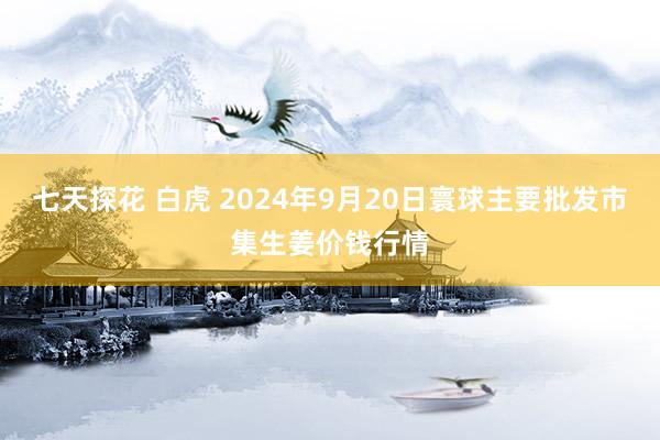 七天探花 白虎 2024年9月20日寰球主要批发市集生姜价钱行情