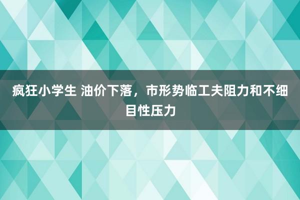 疯狂小学生 油价下落，市形势临工夫阻力和不细目性压力