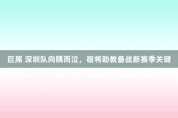 巨屌 深圳队向隅而泣，宿将助教备战新赛季关键