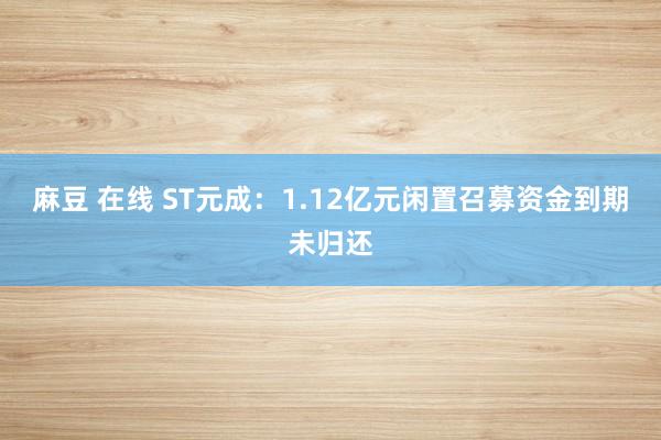 麻豆 在线 ST元成：1.12亿元闲置召募资金到期未归还
