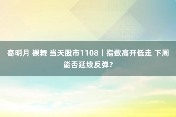 寄明月 裸舞 当天股市1108丨指数高开低走 下周能否延续反弹？