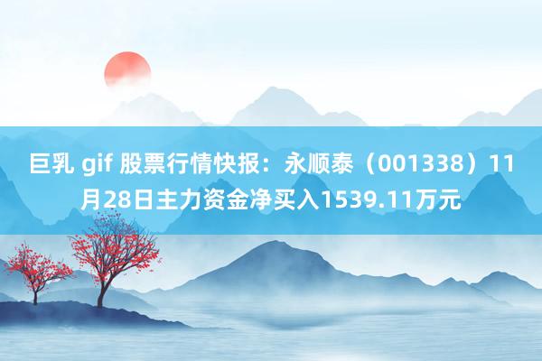 巨乳 gif 股票行情快报：永顺泰（001338）11月28日主力资金净买入1539.11万元