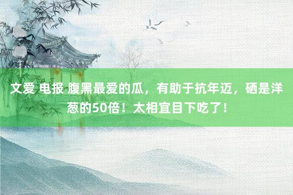 文爱 电报 腹黑最爱的瓜，有助于抗年迈，硒是洋葱的50倍！太相宜目下吃了！