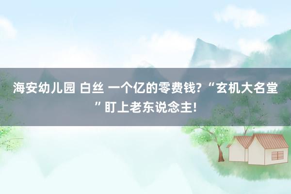 海安幼儿园 白丝 一个亿的零费钱? “玄机大名堂”盯上老东说念主!