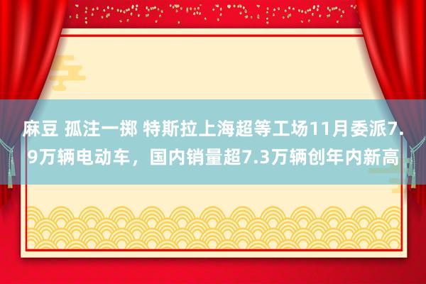 麻豆 孤注一掷 特斯拉上海超等工场11月委派7.9万辆电动车，国内销量超7.3万辆创年内新高