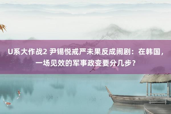 U系大作战2 尹锡悦戒严未果反成闹剧：在韩国，一场见效的军事政变要分几步？