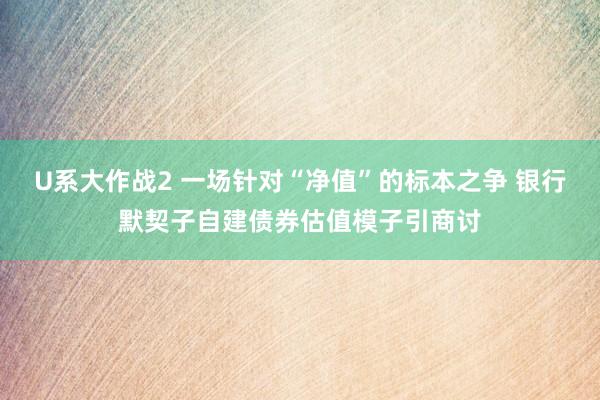 U系大作战2 一场针对“净值”的标本之争 银行默契子自建债券估值模子引商讨