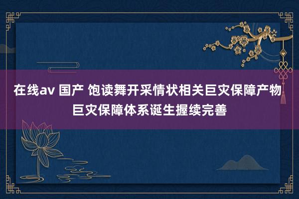 在线av 国产 饱读舞开采情状相关巨灾保障产物 巨灾保障体系诞生握续完善