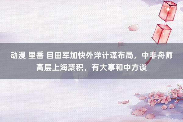 动漫 里番 目田军加快外洋计谋布局，中非舟师高层上海聚积，有大事和中方谈