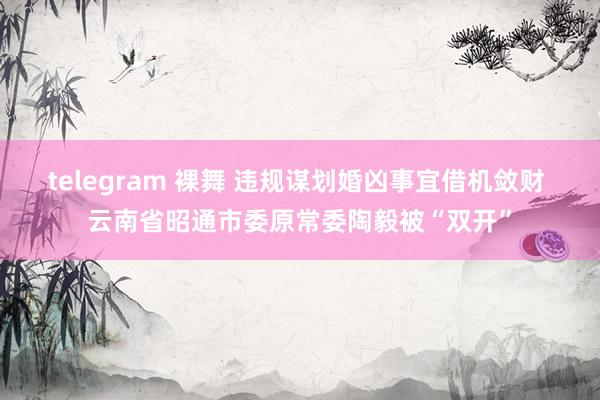telegram 裸舞 违规谋划婚凶事宜借机敛财 云南省昭通市委原常委陶毅被“双开”