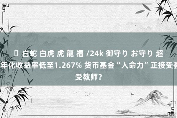 ✨白蛇 白虎 虎 龍 福 /24k 御守り お守り 超百家年化收益率低至1.267% 货币基金“人命力”正接受教师？