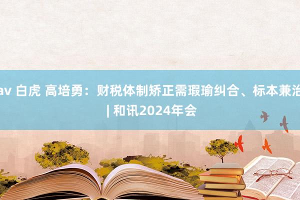 av 白虎 高培勇：财税体制矫正需瑕瑜纠合、标本兼治 | 和讯2024年会