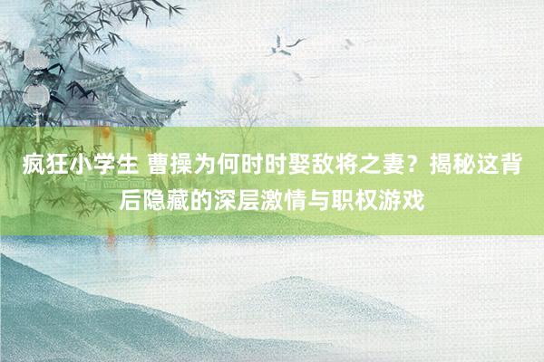 疯狂小学生 曹操为何时时娶敌将之妻？揭秘这背后隐藏的深层激情与职权游戏