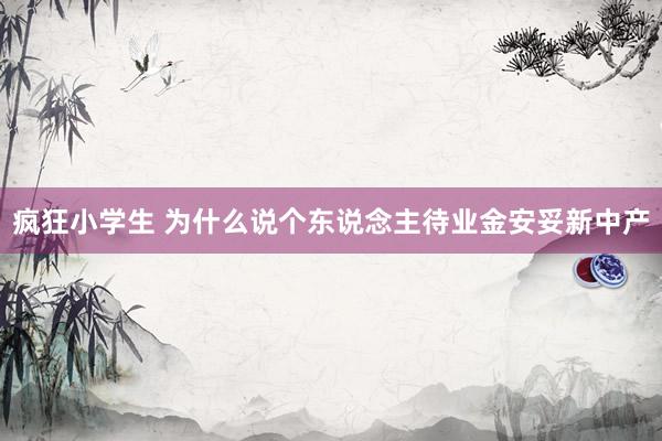 疯狂小学生 为什么说个东说念主待业金安妥新中产