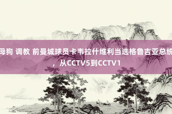 母狗 调教 前曼城球员卡韦拉什维利当选格鲁吉亚总统，从CCTV5到CCTV1
