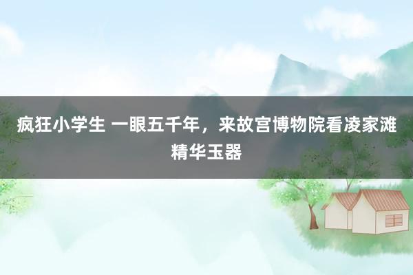 疯狂小学生 一眼五千年，来故宫博物院看凌家滩精华玉器