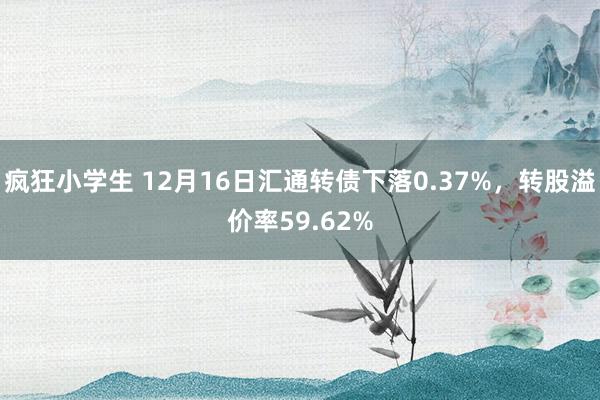 疯狂小学生 12月16日汇通转债下落0.37%，转股溢价率59.62%