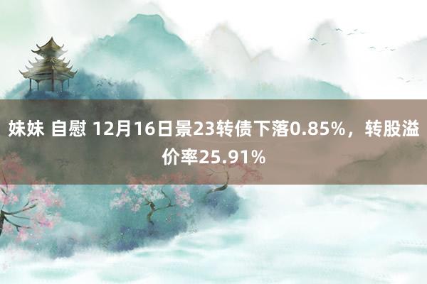 妹妹 自慰 12月16日景23转债下落0.85%，转股溢价率25.91%