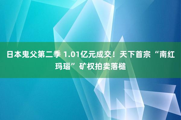 日本鬼父第二季 1.01亿元成交！天下首宗 “南红玛瑙” 矿权拍卖落槌