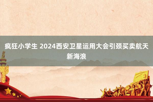 疯狂小学生 2024西安卫星运用大会引颈买卖航天新海浪