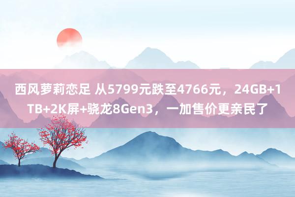 西风萝莉恋足 从5799元跌至4766元，24GB+1TB+2K屏+骁龙8Gen3，一加售价更亲民了