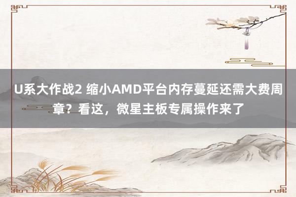 U系大作战2 缩小AMD平台内存蔓延还需大费周章？看这，微星主板专属操作来了