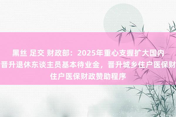 黑丝 足交 财政部：2025年重心支握扩大国内需求，符合晋升退休东谈主员基本待业金，晋升城乡住户医保财政赞助程序