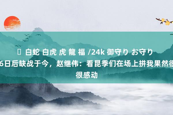 ✨白蛇 白虎 虎 龍 福 /24k 御守り お守り 12月6日后缺战于今，赵继伟：看昆季们在场上拼我果然很感动