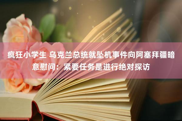 疯狂小学生 乌克兰总统就坠机事件向阿塞拜疆暗意慰问：紧要任务是进行绝对探访