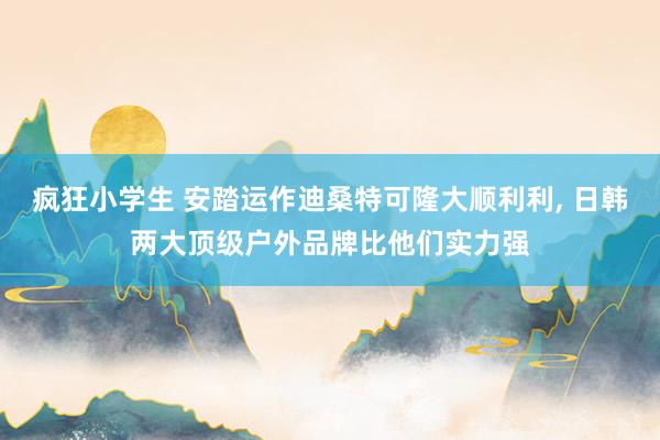 疯狂小学生 安踏运作迪桑特可隆大顺利利， 日韩两大顶级户外品牌比他们实力强