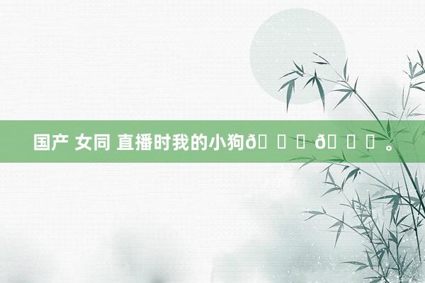 国产 女同 直播时我的小狗🐕😅。