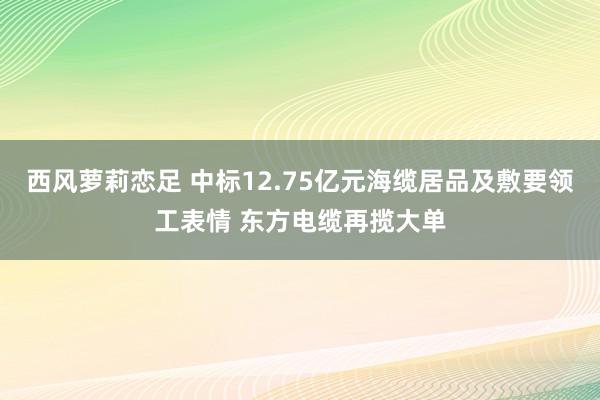 西风萝莉恋足 中标12.75亿元海缆居品及敷要领工表情 东方电缆再揽大单