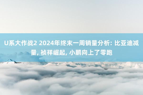 U系大作战2 2024年终末一周销量分析: 比亚迪减量， 祯祥崛起， 小鹏向上了零跑