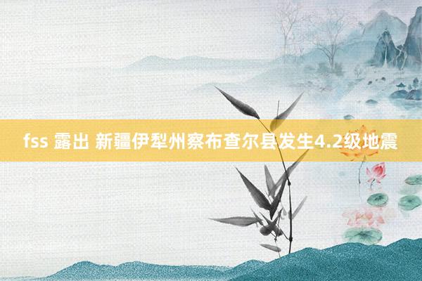 fss 露出 新疆伊犁州察布查尔县发生4.2级地震
