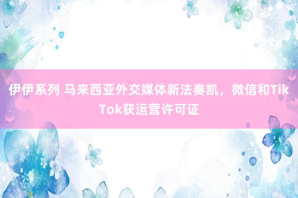伊伊系列 马来西亚外交媒体新法奏凯，微信和TikTok获运营许可证