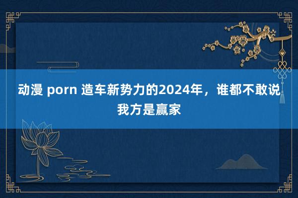 动漫 porn 造车新势力的2024年，谁都不敢说我方是赢家