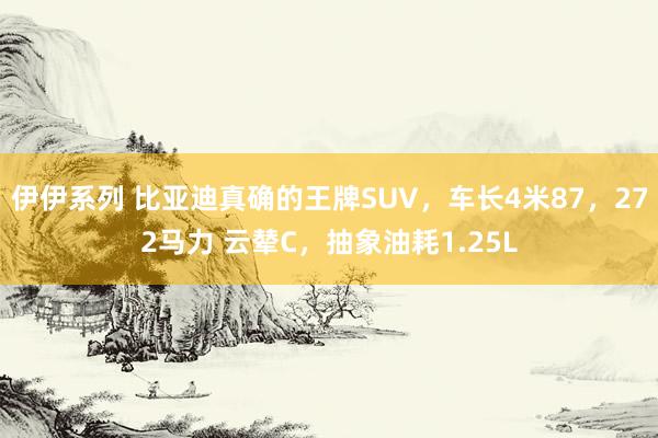 伊伊系列 比亚迪真确的王牌SUV，车长4米87，272马力 云辇C，抽象油耗1.25L