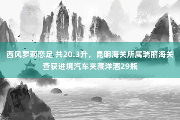 西风萝莉恋足 共20.3升，昆明海关所属瑞丽海关查获进境汽车夹藏洋酒29瓶