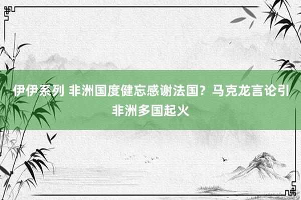 伊伊系列 非洲国度健忘感谢法国？马克龙言论引非洲多国起火