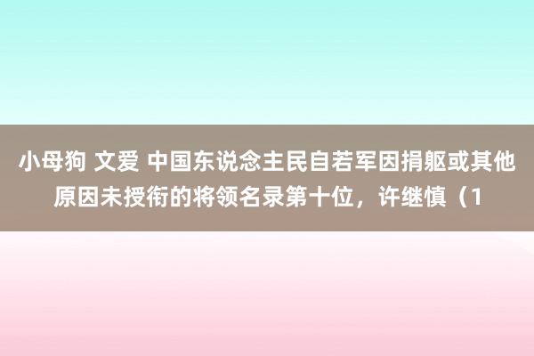 小母狗 文爱 中国东说念主民自若军因捐躯或其他原因未授衔的将领名录第十位，许继慎（1