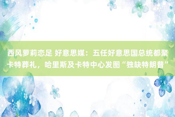 西风萝莉恋足 好意思媒：五任好意思国总统都聚卡特葬礼，哈里斯及卡特中心发图“独缺特朗普”