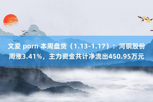 文爱 porn 本周盘货（1.13-1.17）：河钢股份周涨3.41%，主力资金共计净流出450.95万元