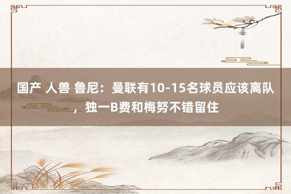国产 人兽 鲁尼：曼联有10-15名球员应该离队，独一B费和梅努不错留住