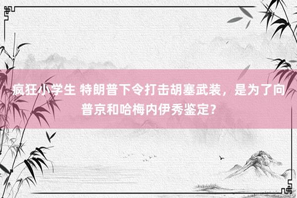 疯狂小学生 特朗普下令打击胡塞武装，是为了向普京和哈梅内伊秀鉴定？