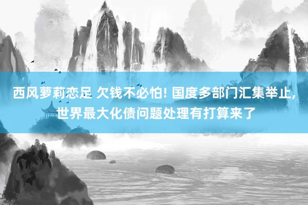 西风萝莉恋足 欠钱不必怕! 国度多部门汇集举止， 世界最大化债问题处理有打算来了