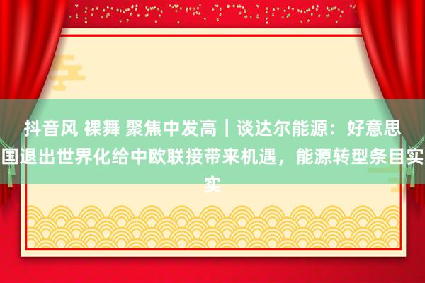 抖音风 裸舞 聚焦中发高｜谈达尔能源：好意思国退出世界化给中欧联接带来机遇，能源转型条目实