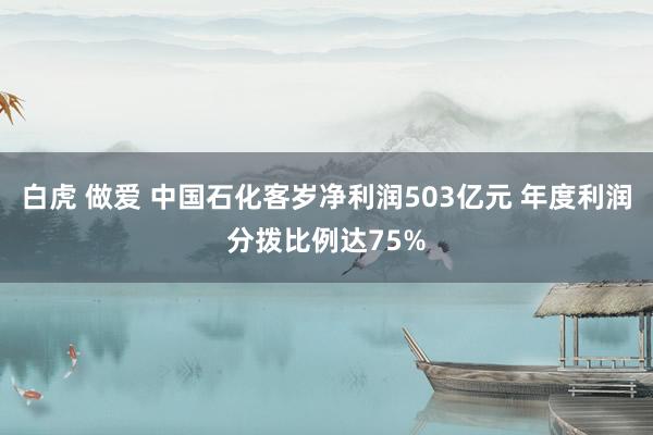 白虎 做爱 中国石化客岁净利润503亿元 年度利润分拨比例达75%