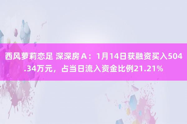 西风萝莉恋足 深深房Ａ：1月14日获融资买入504.34万元，占当日流入资金比例21.21%