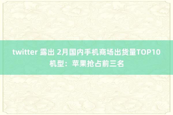 twitter 露出 2月国内手机商场出货量TOP10机型：苹果抢占前三名