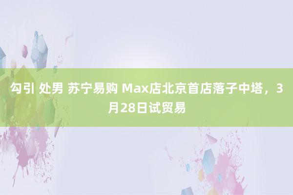 勾引 处男 苏宁易购 Max店北京首店落子中塔，3月28日试贸易